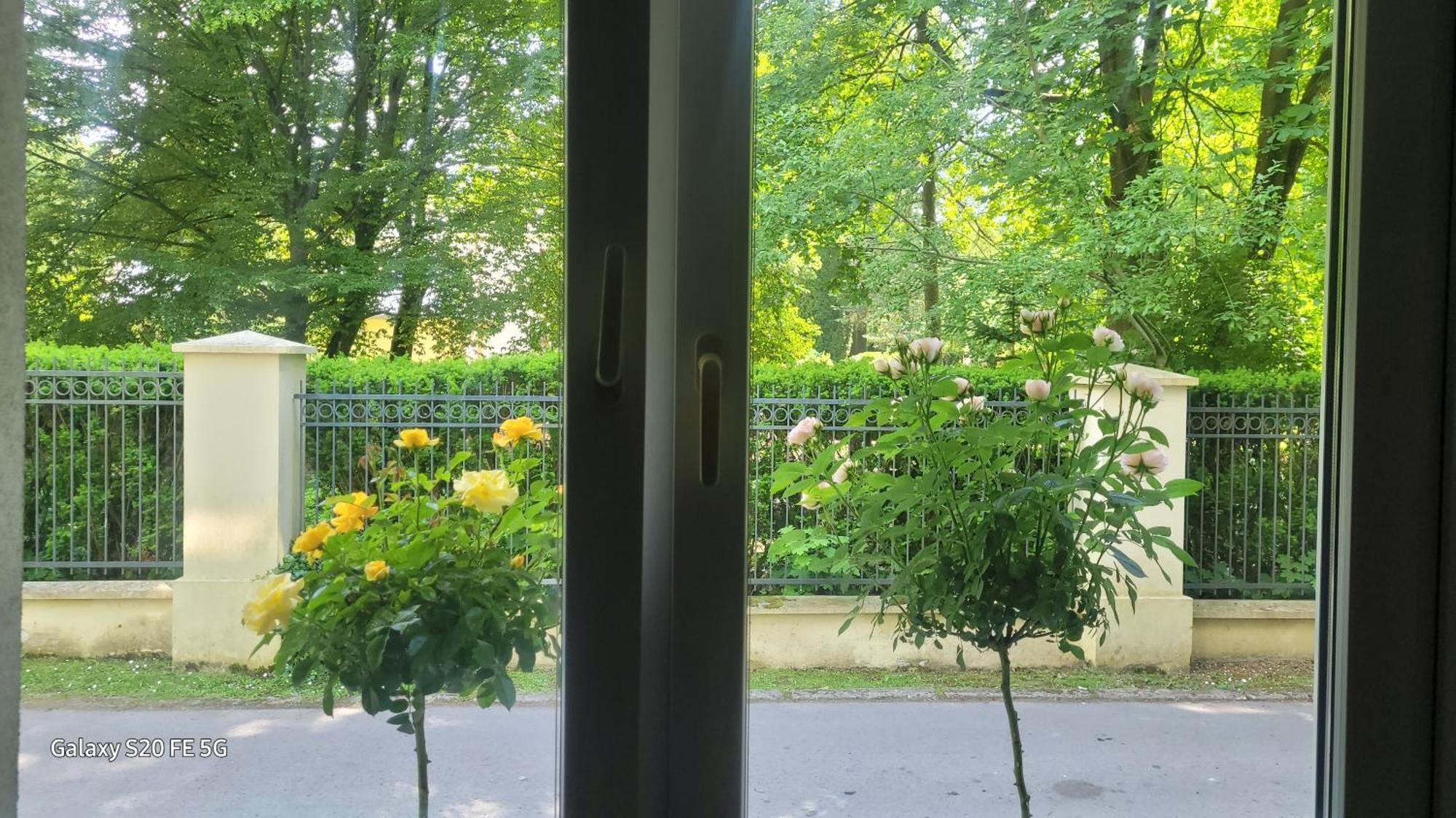 Apartament Przy Parku Naleczow Exterior photo